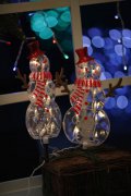 FY-20008 LED christmas small led lights bulb lamp FY-20008 LED cheap christmas small led lights bulb lamp LED String Light with Outfit