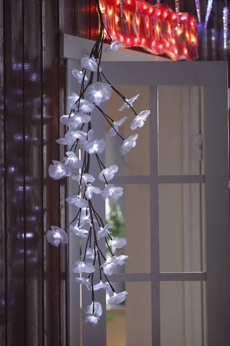 FY-50003 LED φθηνά υποκατάστημα χριστουγεννιάτικο δέντρο μικρό οδήγησε λάμπα λάμπα ανάβει