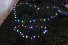 FY-50024 LED χριστουγε FY-50024 LED φθηνά υποκατάστημα χριστουγεννιάτικο δέντρο μικρό οδήγησε λάμπα λάμπα ανάβει - Οδήγησε φως δέντρο Branchκατασκευάζονται στην Κίνα